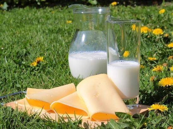 10 июня в Казани впервые проведут молочный фестиваль
