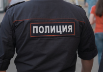 В ночь с 8-го на 9-го июня столичные стражи порядка задержали преступника, который набросился с ножом на школьницу в районе Очаково Западного округа Москвы