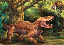 Палеонтологи обнаружили в Кировской области останки двух ранее неизвестных звероподобных рептилий, живших более 250 миллионов лет назад