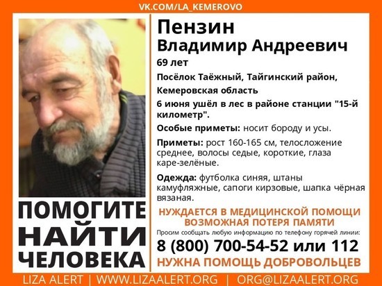 69-летний кузбасский пенсионер ушел в лес и пропал без вести 