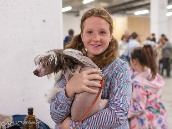 Уиппет, босерон и пти брабансон – самые необычные собаки Петрозаводска. ФОТО.