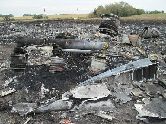 Страны подписали соглашение о преследовании причастных к уничтожению самолета