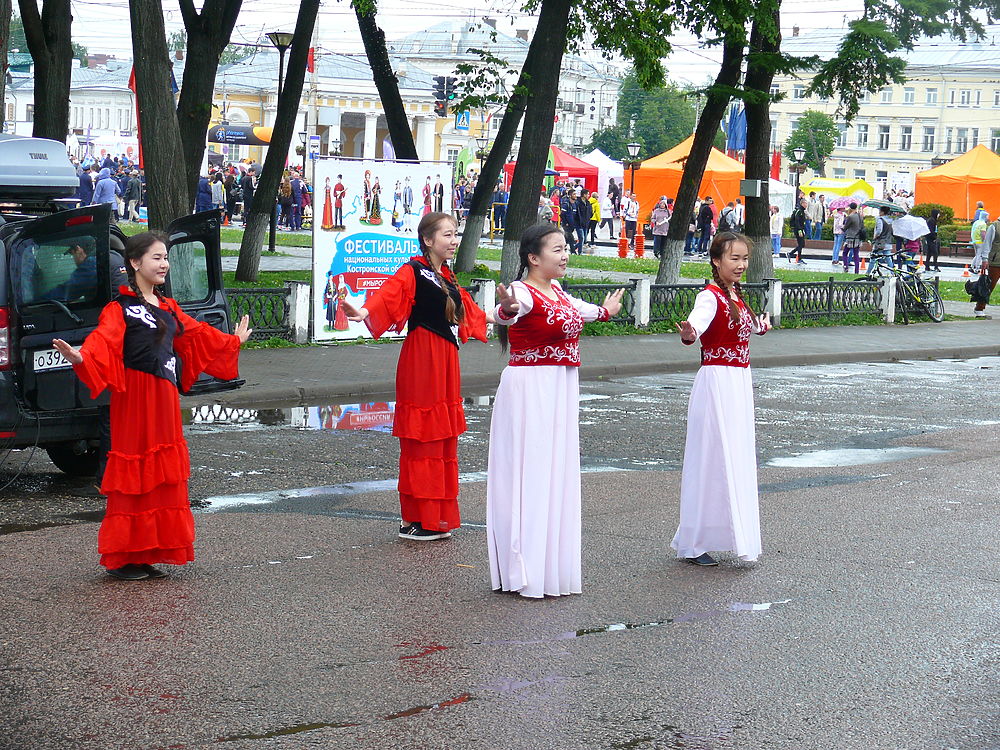 Хоровод дружбы объединил народы на фестивале национальных культур в Костроме