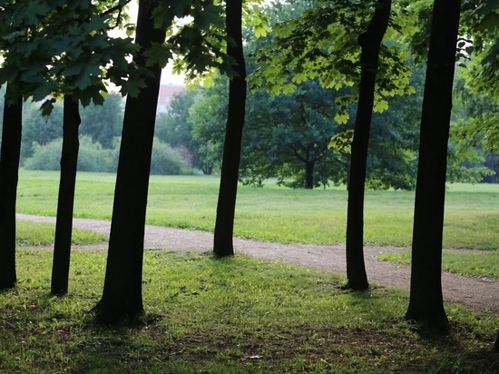 До 20 июня в Казани продлили срок голосования за благоустройство парков