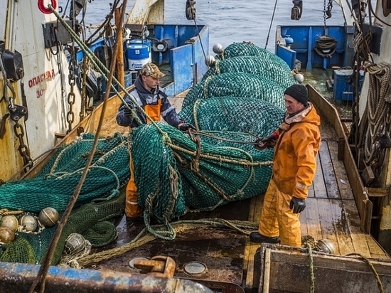 Приморские рыбаки увеличили показатели 