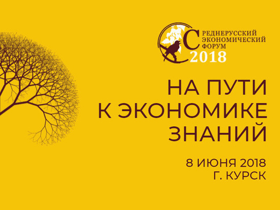 «Экономика знаний» — главная тема VII Среднерусского экономического форума