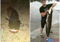 В хуторе Меркуловский Шолоховского района рыбак поймал 23-килограммового сома