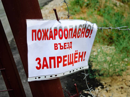 В лесах Тамбовской области установлен особый противопожарный режим