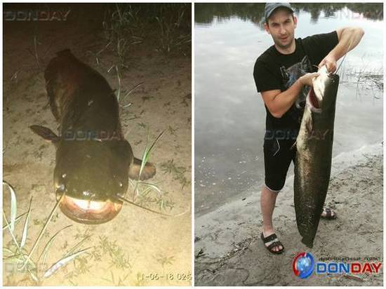  В Ростовской области рыбак поймал 23-килограммового сома 