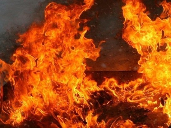 В Калмыкии зарегистрировали 5 пожаров