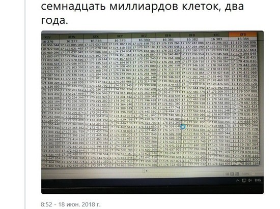 Россиянин сумел вручную дойти до конца таблицы Excel 