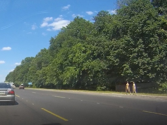 Воронежцы сфотографировали двух обнаженных парней, гуляющих вдоль трассы