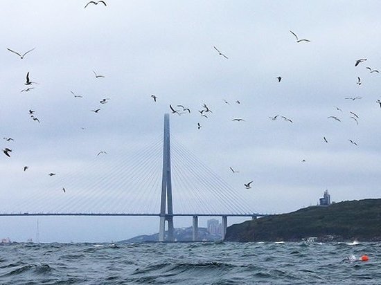 Еще один мост построят во Владивостоке 