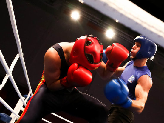 Чемпионат Европы по савату, или французскому боксу, проходил в городке Памье департамента Арьеж на юге Франции