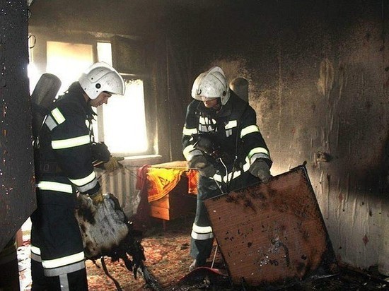 При пожаре в Тамбовской области погиб 56-летний мужчина