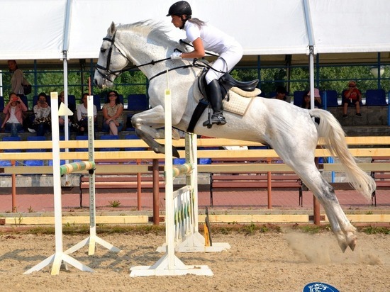 Открытые соревнования по конному спорту пройдут в Ханты-Мансийске