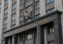 В Государственной думе прошло заседание экспертной группы по совершенствованию законотворчества об ОНК (общественные наблюдательные комиссии)