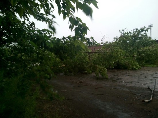 Электроснабжение после грозы в районах Костромской области восстановили глубокой ночью