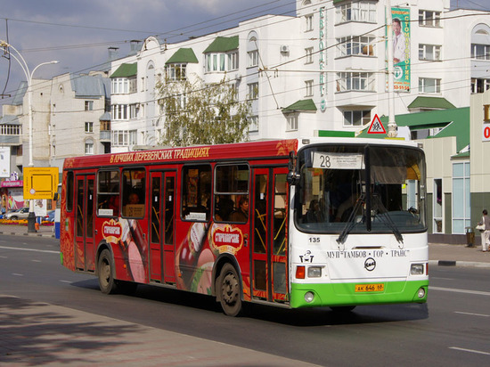 Участников акции "Свеча Памяти" развезут по домам автобусы
