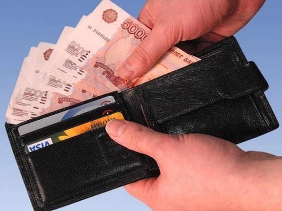 Полицейские в Мордовии вернули потерянный кошелек владельцу