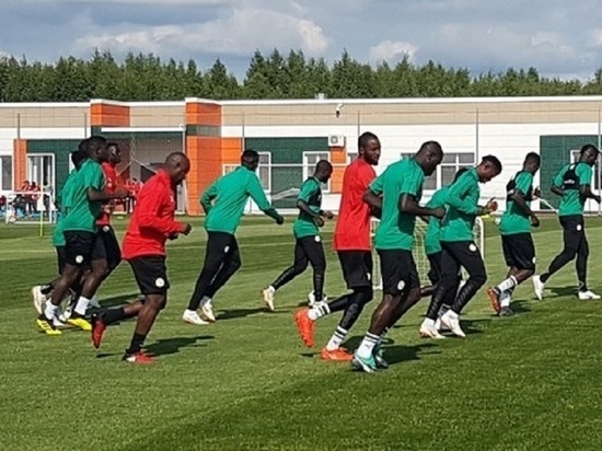 Второй матч сборной Сенегала на ЧМ покажут в Калуге на большом экране 