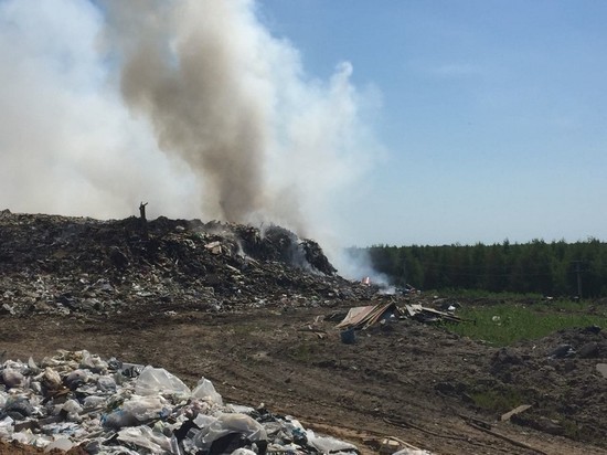 В Татарстане загорелся ТБО возле деревни Орёл