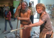 Неандертальцы охотились на добычу не так, как кроманьонцы и, возможно, именно это различие стало одной из ключевых причин, по которым первые исчезли с лица Земли, а вторые стали «венцом эволюции»