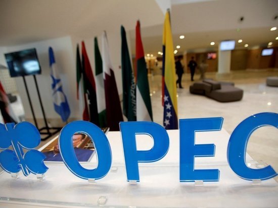 Недавний саммит Организации стран экспортеров нефти (ОПЕК) выявил неоднозначную ситуацию, складывающуюся вокруг этой организации