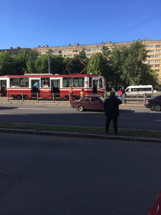 Петербуржец попал под трамвай на проспекте Просвещения