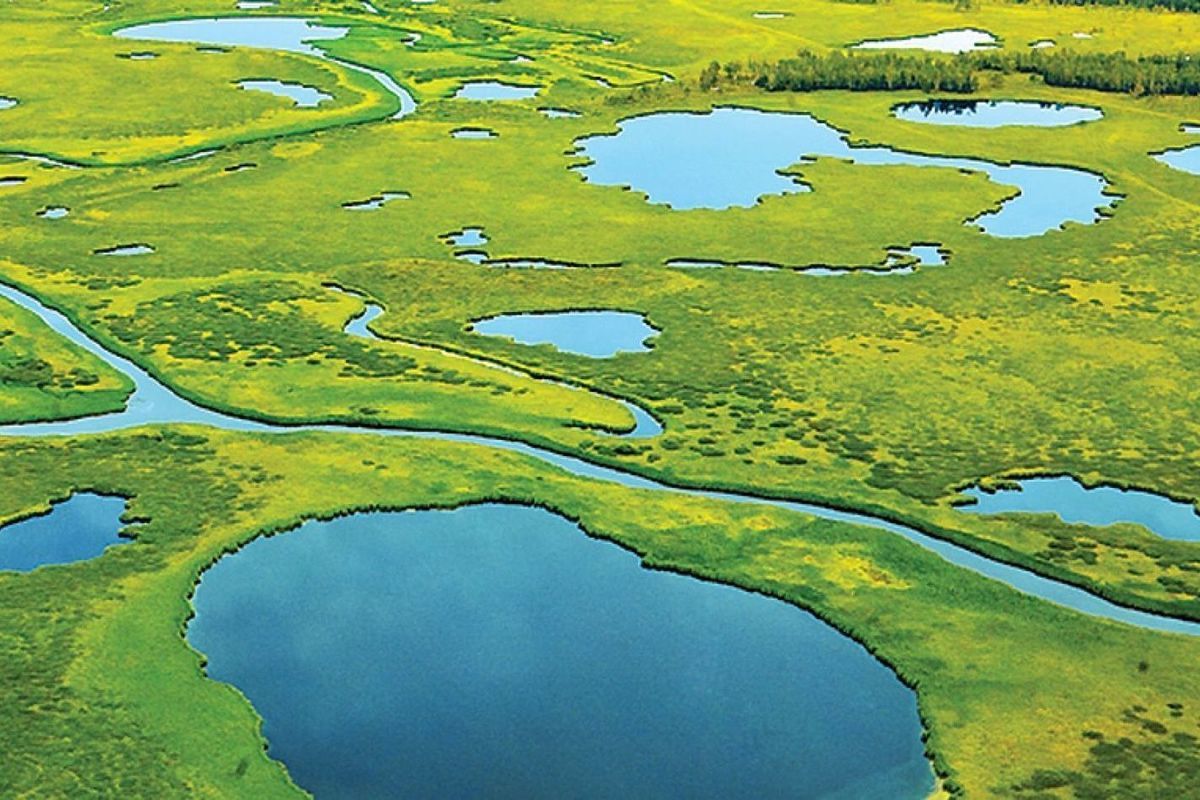 Реки и озера западной сибири. Западно Сибирская равнина Васюганское болото. Васюганские болота Томская область. Васюганское болото заповедник. Васюганские болота, Сибирь.