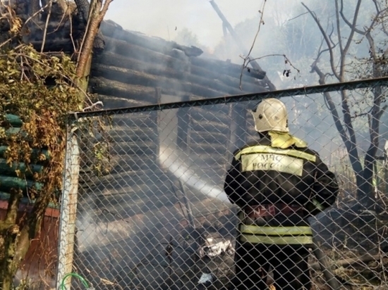 33 человека погибло в пожарах в Тульской области за полгода