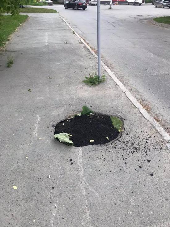 В Екатеринбурге яму на тротуаре заделали лопухами