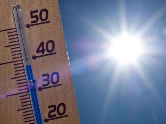Июль в Оренбурге начнется с жары под сорок градусов