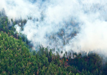 На территории красноярского края зарегистрировано 158 природных пожаров, сообщили сегодня в МЧС по краю