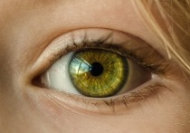 Аппарат, позволяющий точно диагностировать состояние человека по микродвижениям глаз, разработали изобретательницы Анастасия и Лидия Усановы