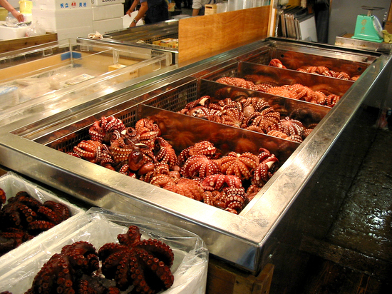 В Японии съели осьминога-предсказателя, угадавшего результаты матчей ЧМ
