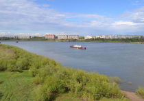 В Томске местные жители нашли тело мужчины, который 1 июля утонул в реке Томь