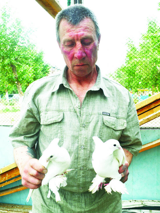Житель Улан-Удэ более полувека разводит породистых «птиц мира»