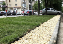 Данил Девятов за свой счет разбил газон вместо парковки