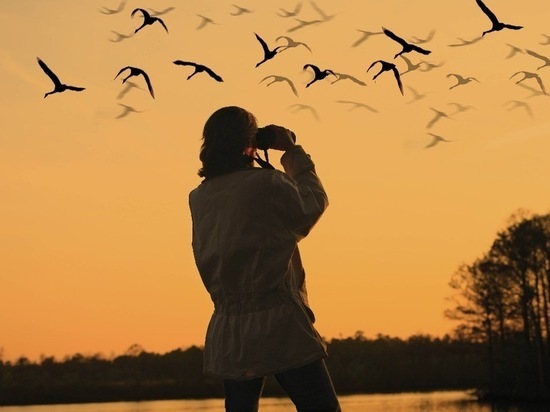 Для тех, кто не вполне владеет английским, поясняем: «бёрдинг» – это некие состязания фотографов, которые запечатлевают перелётные миграции птиц