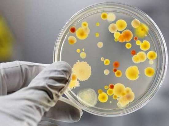 В Оренбуржье в июле ожидается подъем заболеваемости энтеровирусными инфекциями