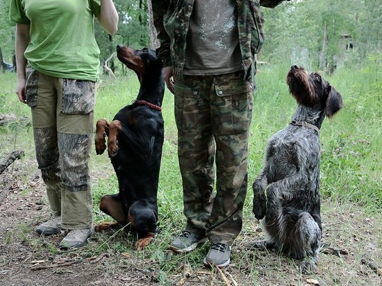 В охотугодьях Татарстана «гулять собак воспрещается»!