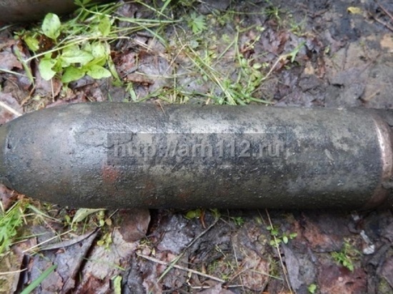 В Архангельской области нашли снаряд эпохи интервенции
