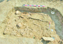 Старинные арфу и лиру обнаружили археологи возле поселка Волна