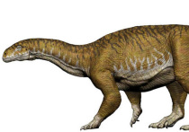 Группа аргентинских палеонтологов  из Национального университета Сан-Хуана обнаружила кости очень крупного динозавра, являющегося предком самых огромных из сухопутных древних ящеров, или, во всяком случае, ближайшим родственником этого предка