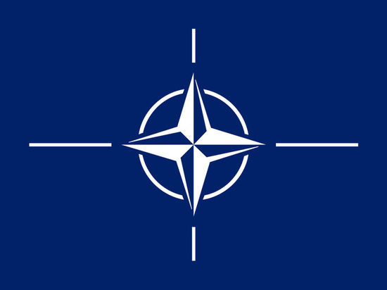 В Европарламенте призвали к роспуску НАТО из-за утраты срока годности