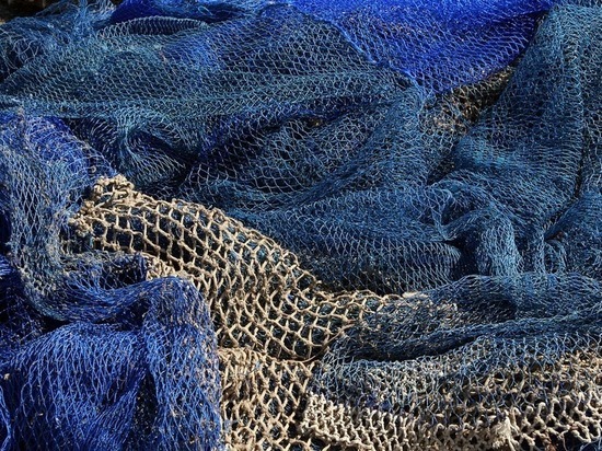 Передел рыбной отрасли грозит массовыми сокращениями работников