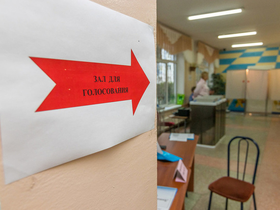 Подкупавший избирателей активист вошел в молодежный избирком Алтая