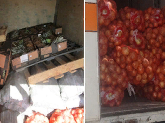 В Оренбуржье не разрешили завезти более 60 тонн овощей и фруктов из Казахстана и Кыргызстана