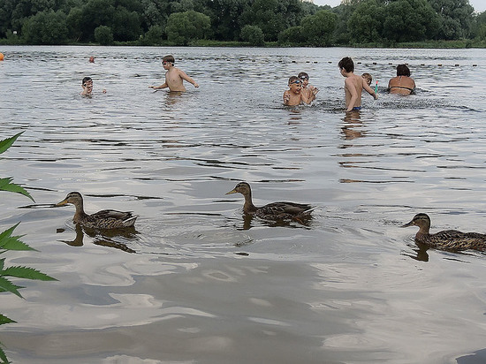 В Москве запретили купаться в трех зонах отдыха
